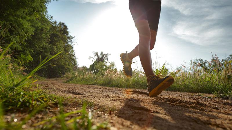 Livingston Open Cross Country Series - Sat 13 Nov