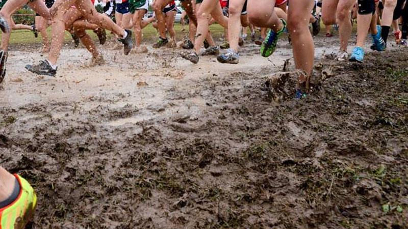 East District Cross Country League 3